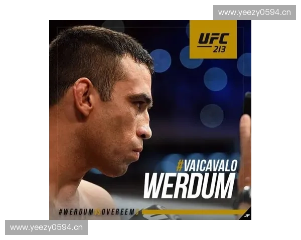 深度解析UFC直播赛事看点与格斗高手巅峰对决全景回顾